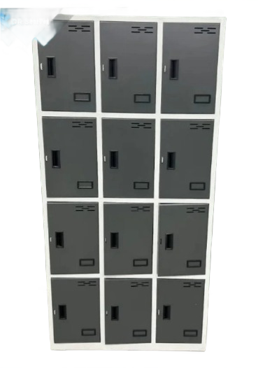 Dr. Smith 12-Door Multi-Compartment Locker Cabinet