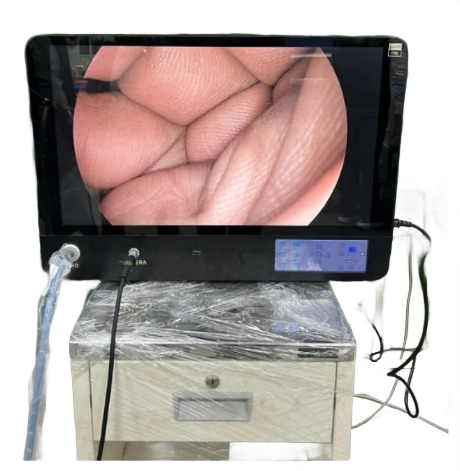 Dr. Smith All-in-One Portable Endoscopy System