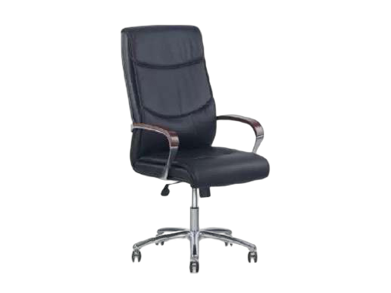 Modern Ergonomic Director Chair